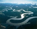 世界最長はアマゾン川？　国際科学者チームが長さを再測定へ
